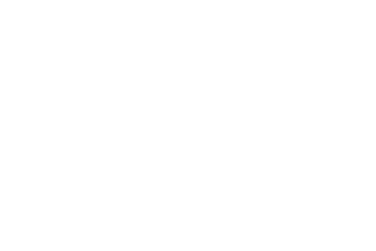 Grey Goose (2)